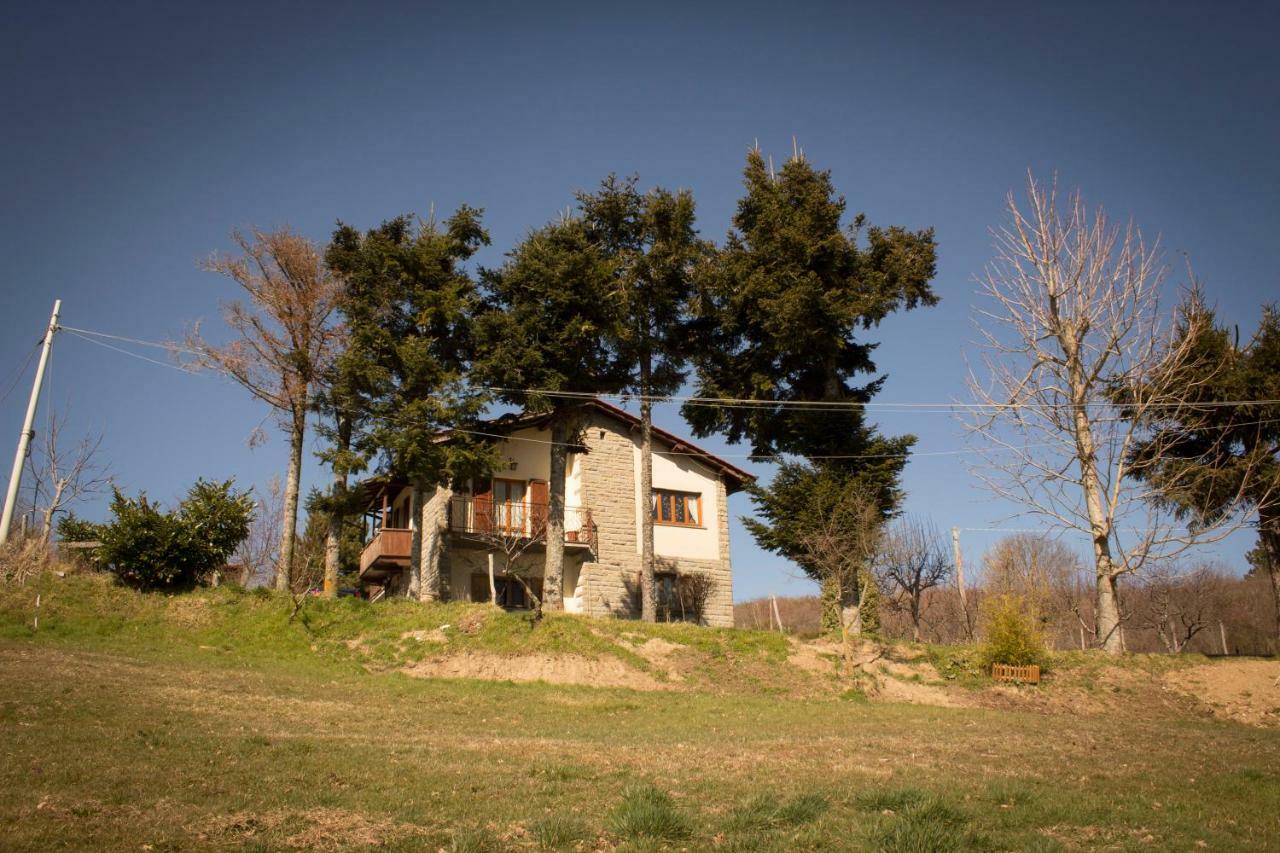 B&B Vista Casentino Pratovecchio Luaran gambar