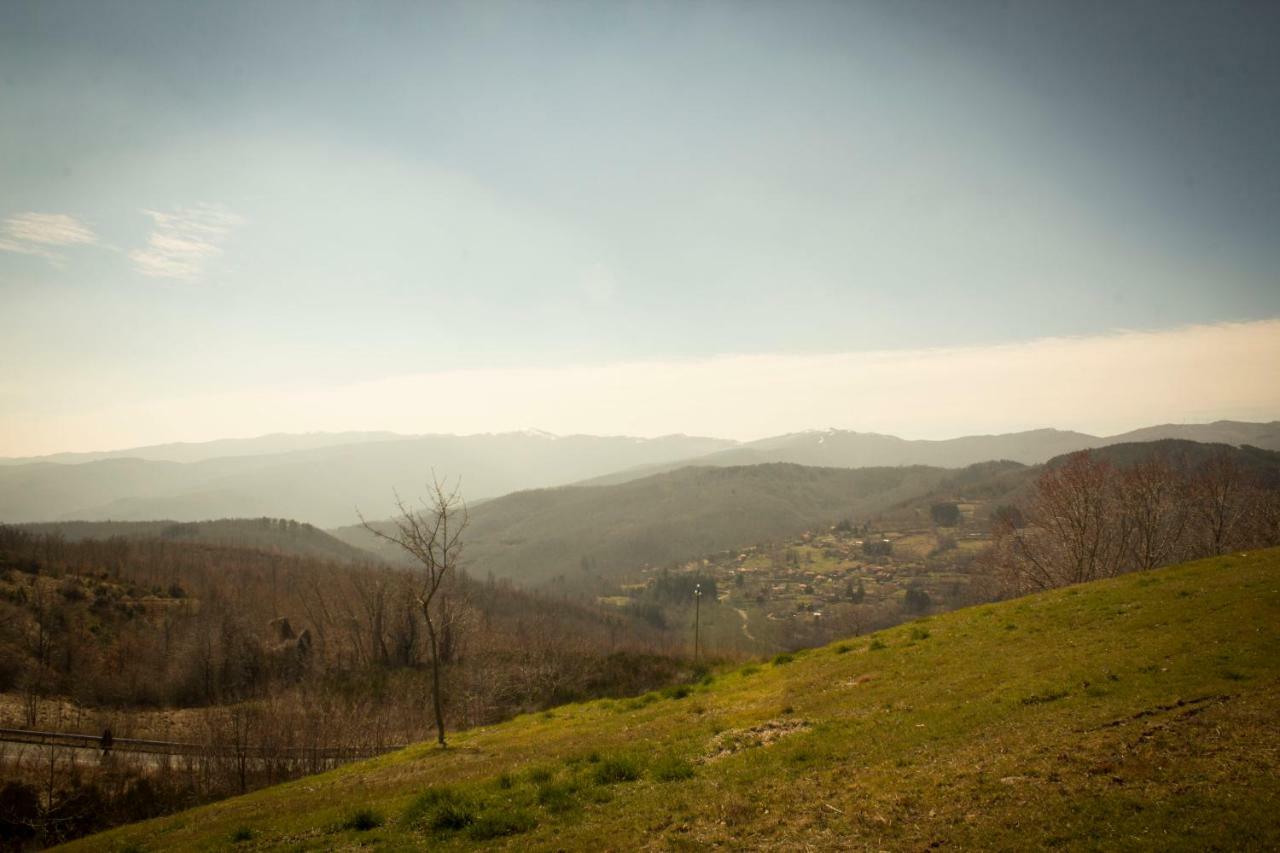 B&B Vista Casentino Pratovecchio Luaran gambar