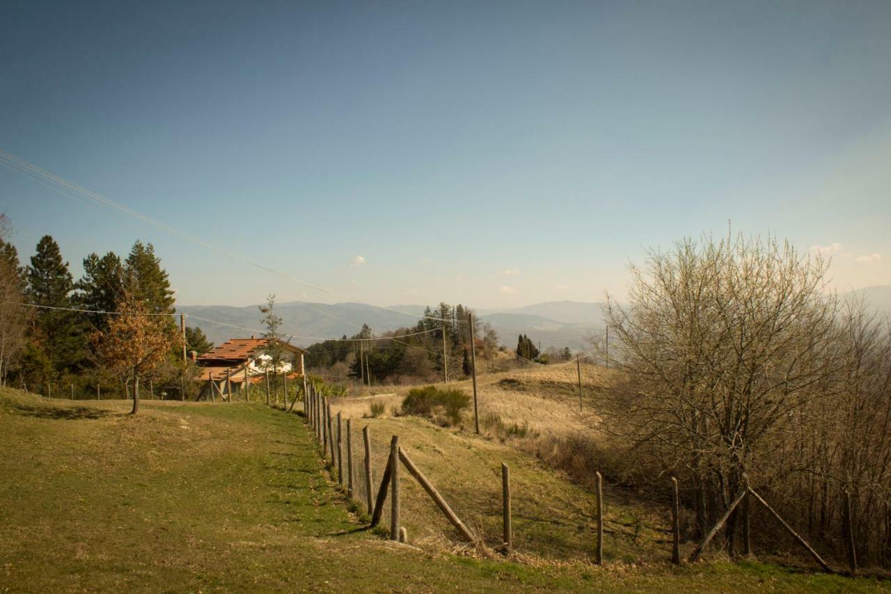 B&B Vista Casentino Pratovecchio Luaran gambar