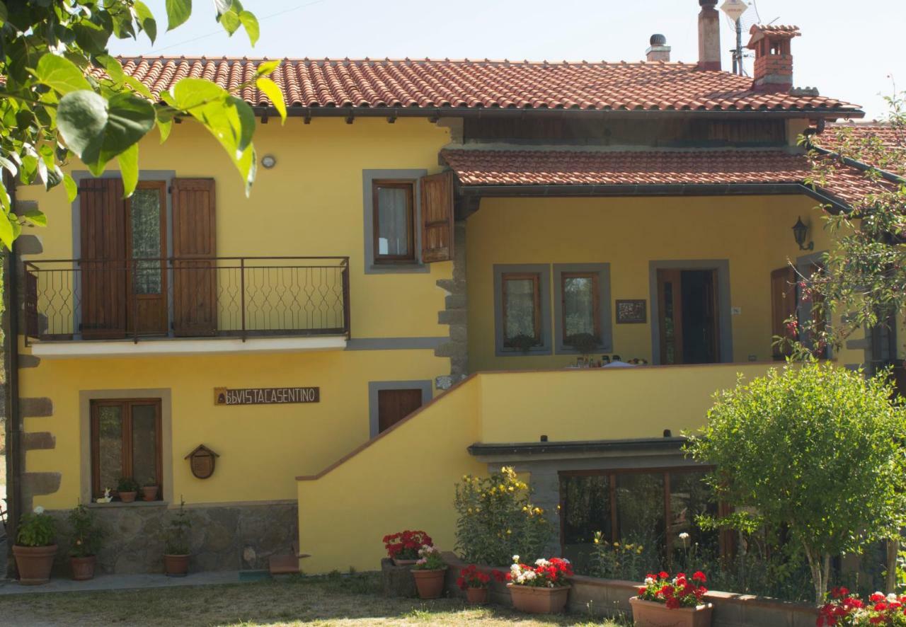 B&B Vista Casentino Pratovecchio Luaran gambar