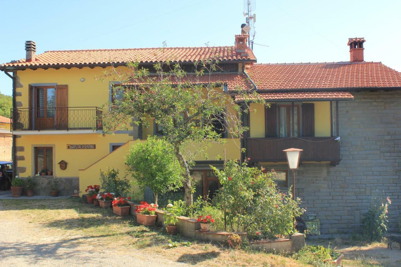 B&B Vista Casentino Pratovecchio Luaran gambar